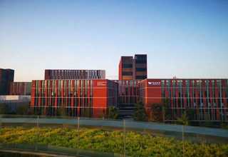 少儿马术训练有哪些好处