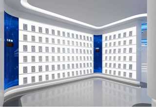 抗病玉米种子公司