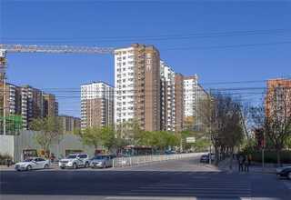 长宁区室内绿植花卉租赁工作