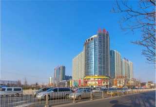 新疆小型螺杆机哪里好